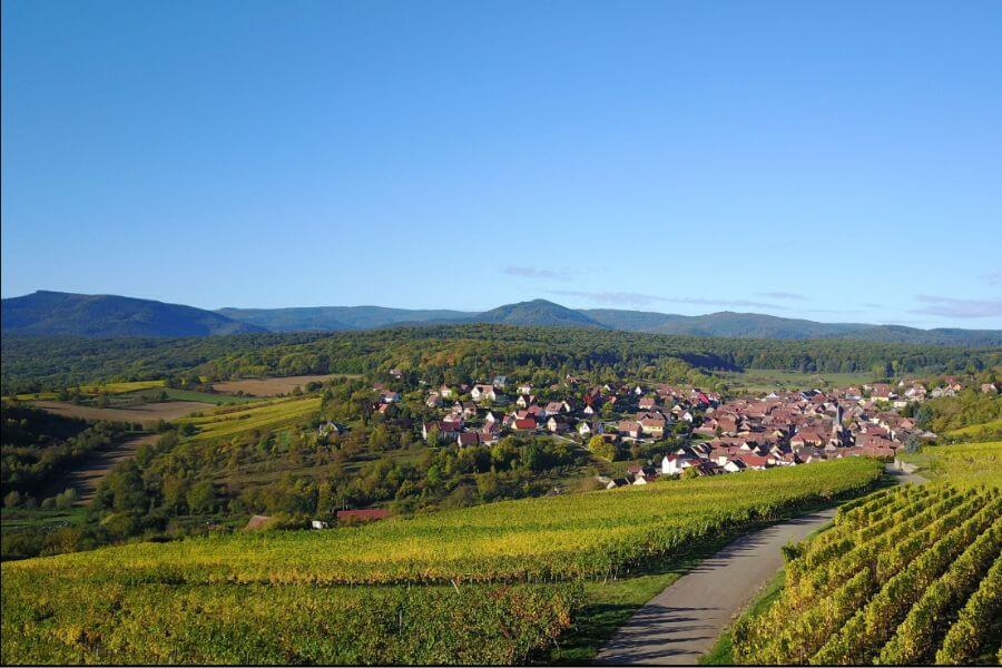 Du côté de chez vous : Rosenwiller Wittelsheim
