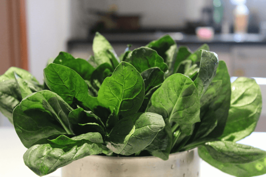 Les plantes pour un potager en appartement Wittelsheim 10
