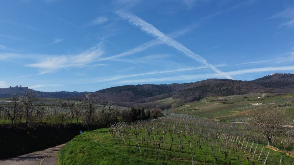 Démarrage des Travaux Imminent : Résidence « Le Millésime » à Wettolsheim Guebwiller 0