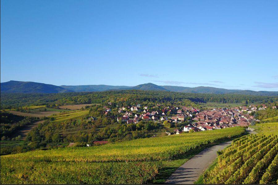 Du côté de chez vous : Rosenwiller Wittelsheim