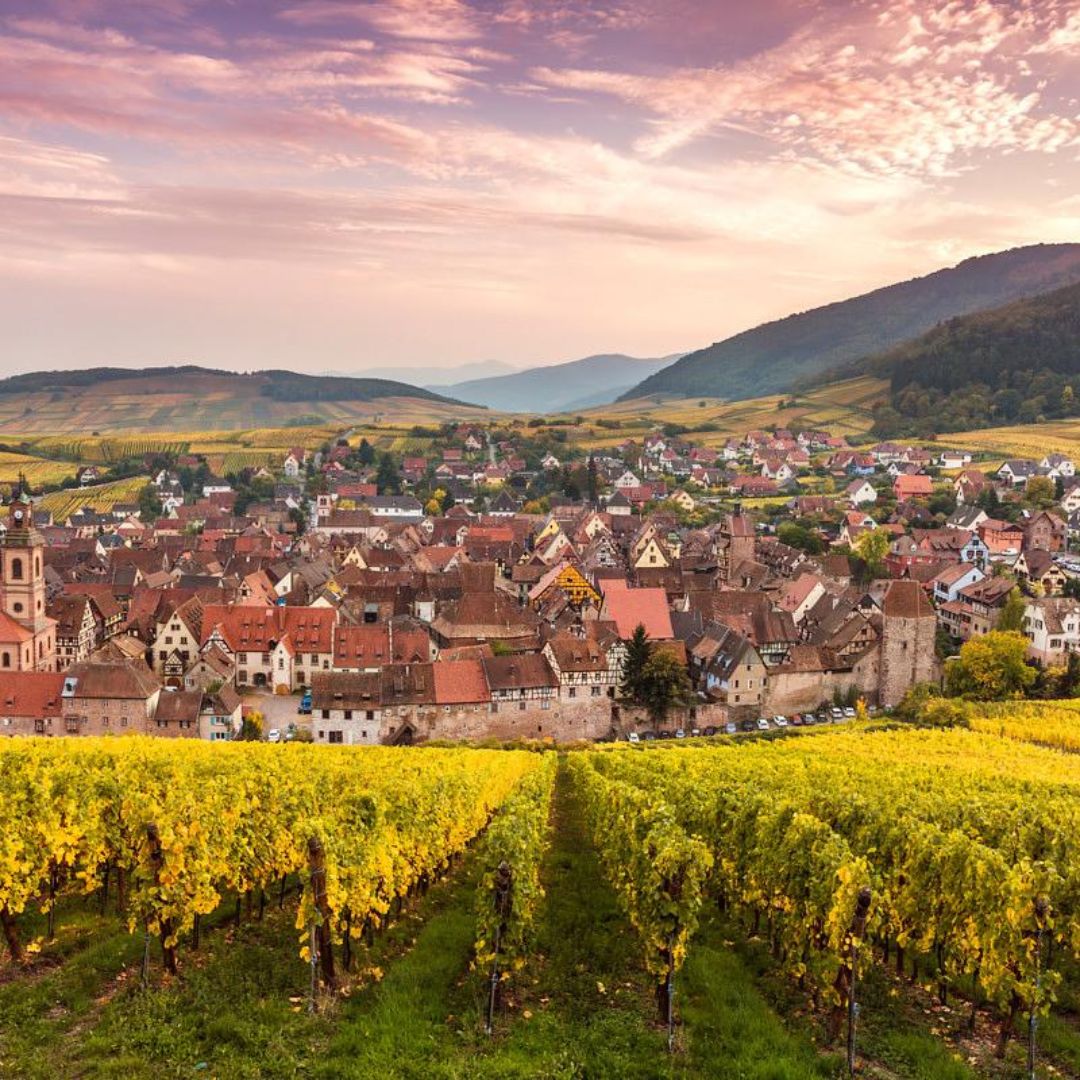 1 | SOVIA CONSTRUCTIONS Riquewihr, parmi les destinations les plus accueillantes de France : un signal fort pour investir Sélestat 0